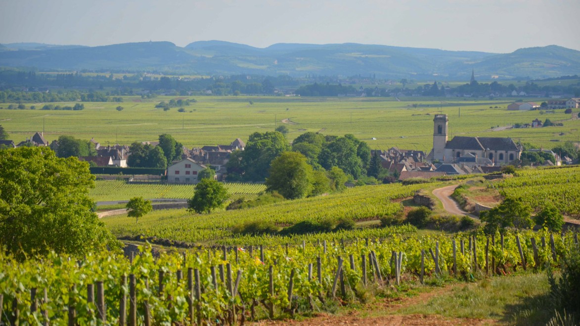 Malerische Landschaften entlang der Weinberge der Côte d'Or