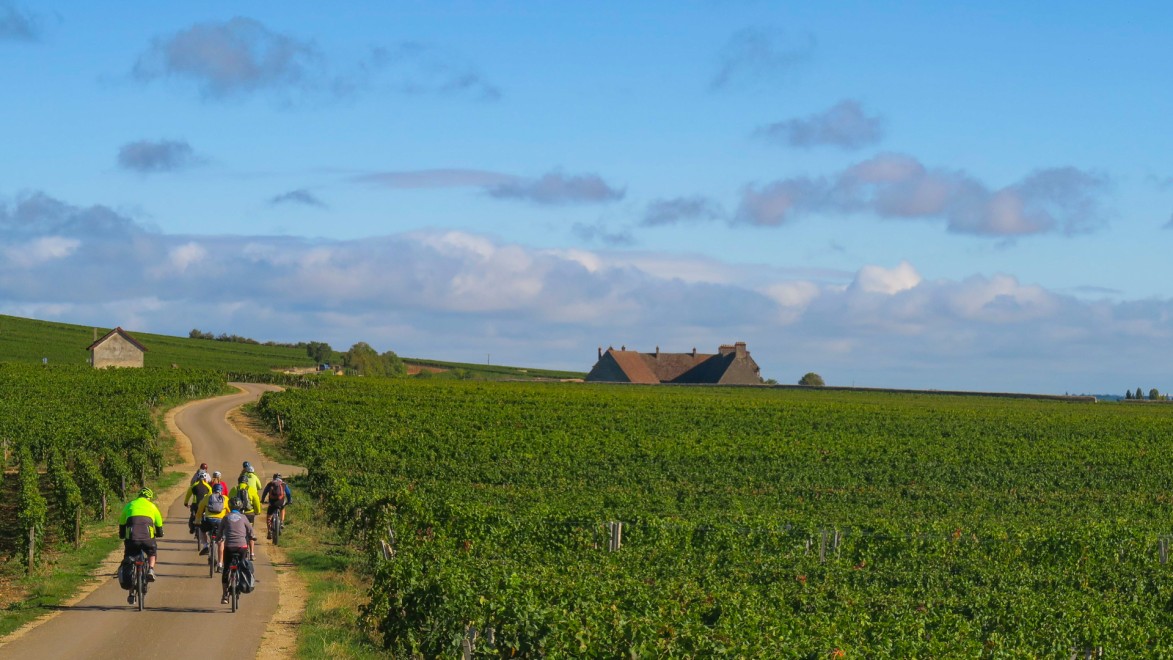 Die Weinberge stehen im ersten Teil dieser Reise im Mittelpunkt