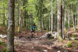 Jura : INTO THE WILD JURA