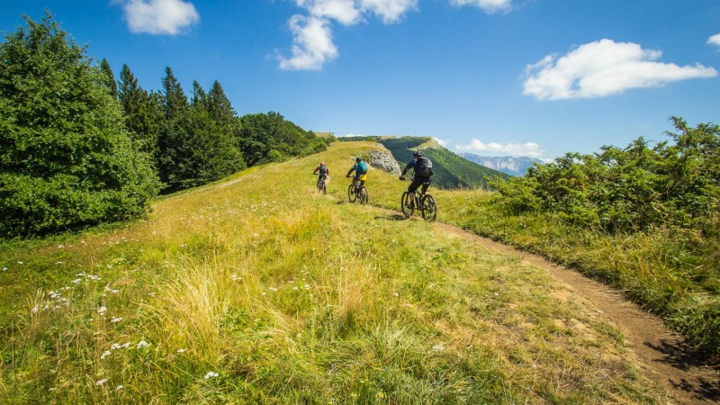 campingstuhl boden Naturehike 2er Tragbarer Faltstuhl 200kg Campingsessel Klappstuhl Gepolstert mit Getränkehaltern Angelstuhl Picknic Garten Outdoor Strand(Blau) Küche, Haushalt & Wohnen Variante auswählen::Large CME Internal ID : P-001609058 Cratoni C-Flash Mountainbike Helm