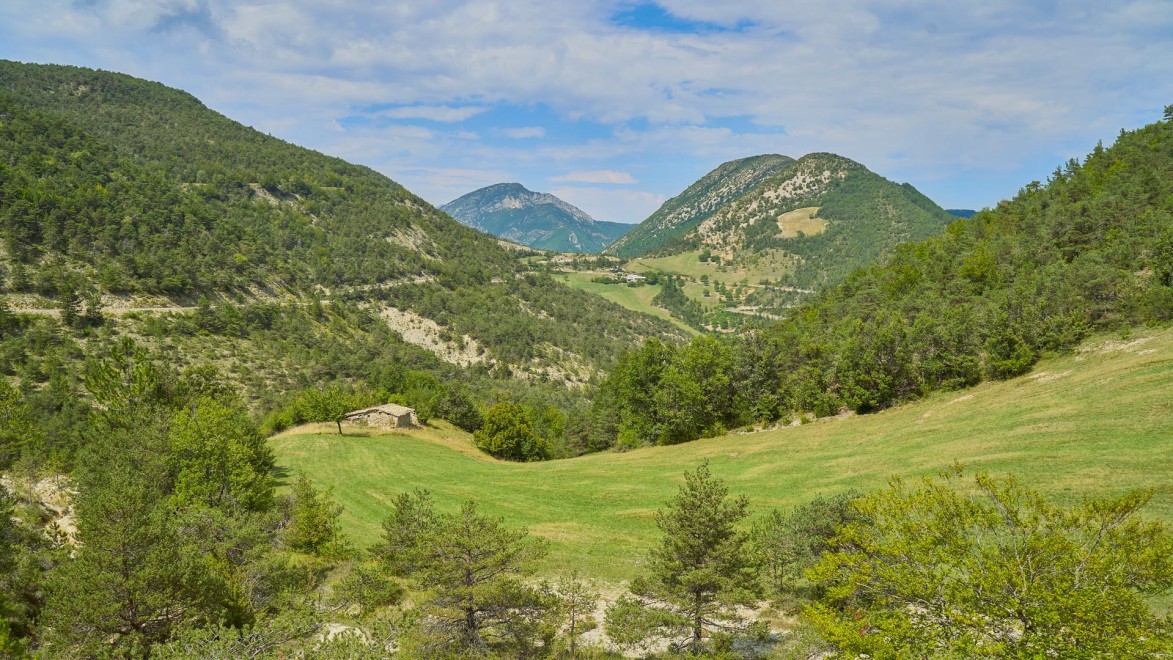 Typische Landschaften der Drôme Provencale