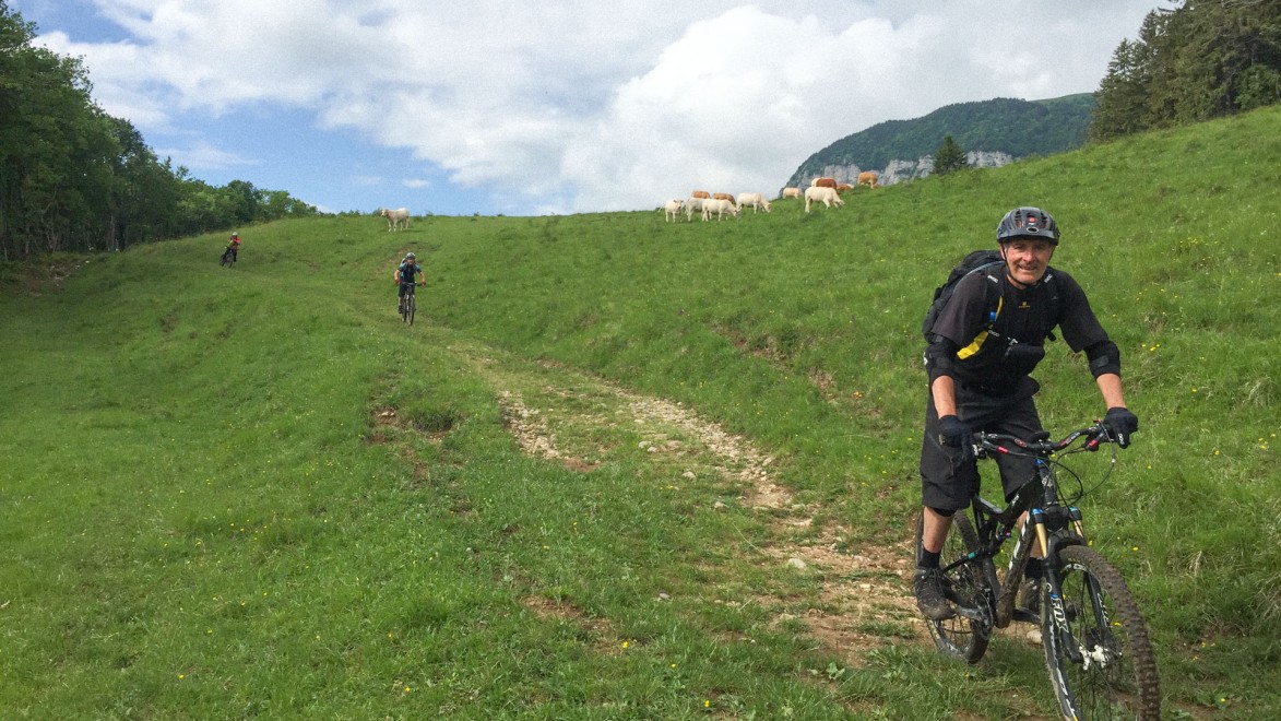 Mountainbiker auf einer Abfahrt einer Alm