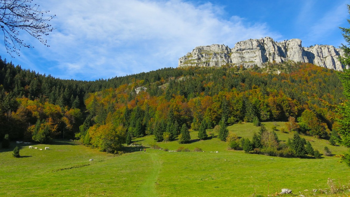 Kalksteinspitzen über einer Alm in den Savoyer Voralpen