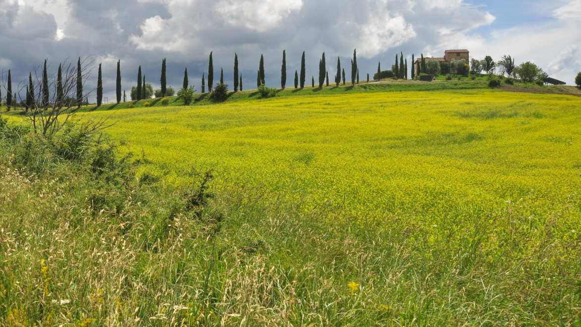Herrliche Landgüter (Agriturismos) dienen uns als Unterkunft