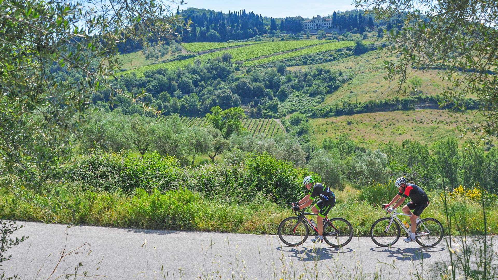 Rennradfahren in den Anstiegen der Toskana
