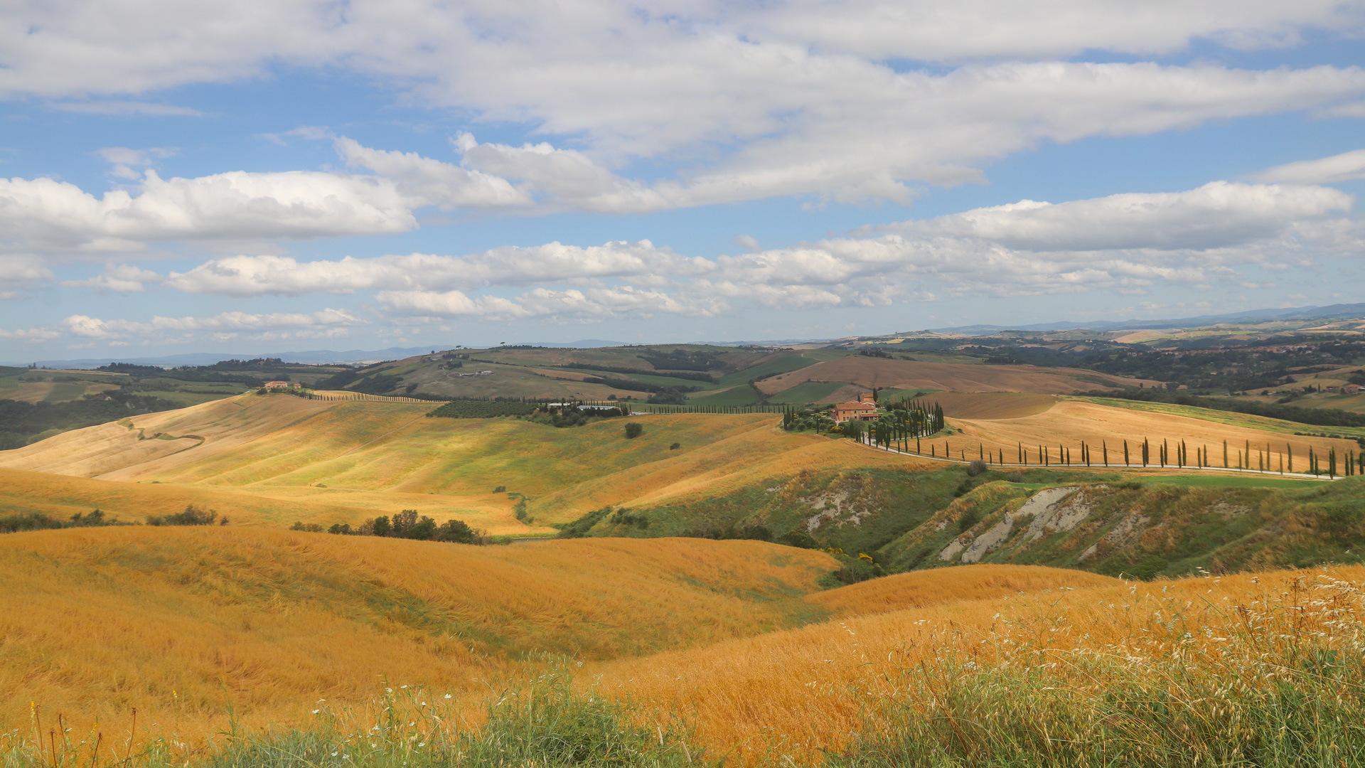 Unterwegs mit dem Rennrad im Val d'Orcia