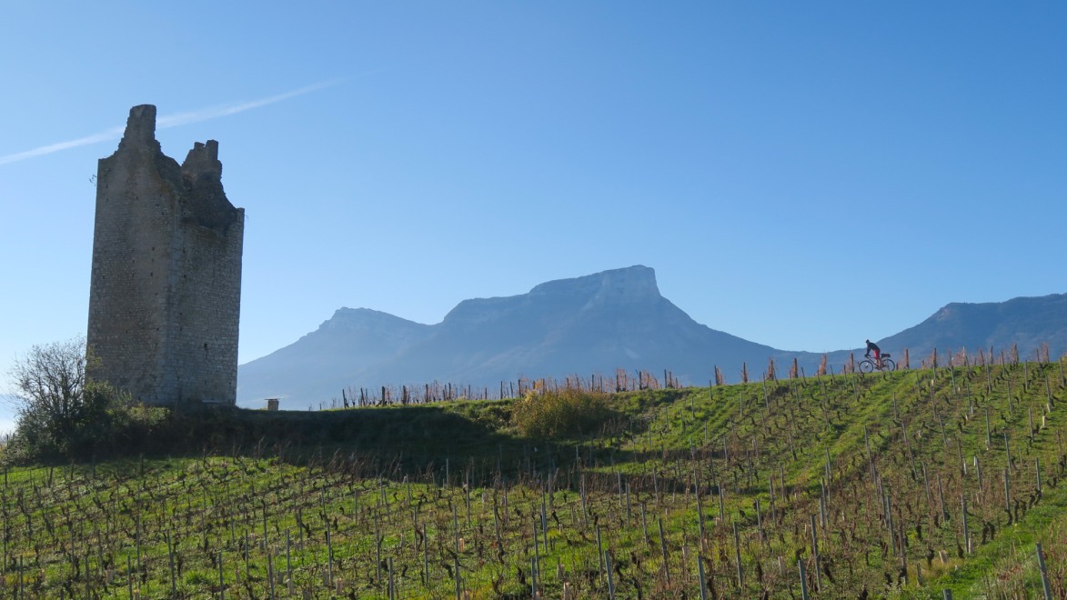 Rennradfahren zu Füssen der Türme von Chignin in den Savoyer Weinbergen
