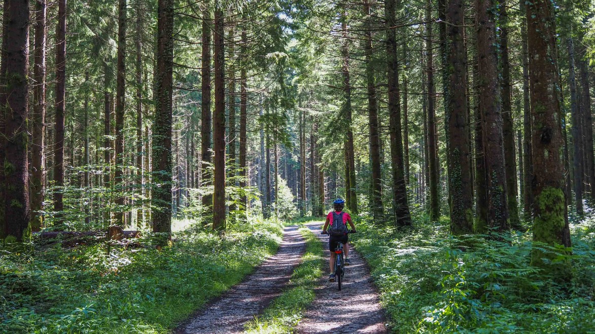 Man fährt auch mit dem E-Bike auf schattige Pisten, inmitten der Natur.