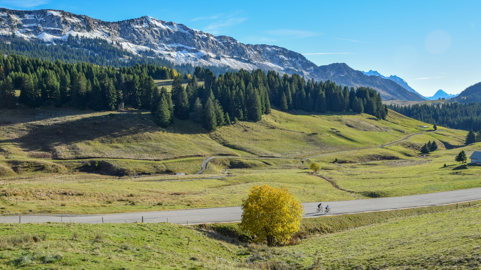 Zwei Rennradfahrer auf der Straße zum Plateau des Glières