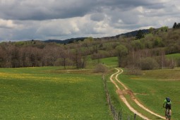 INTO THE WILD JURA