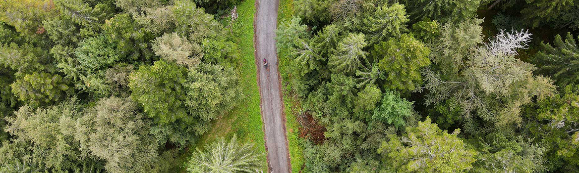 Frau auf Schotterweg im Wald, aus der Vogelperspektive