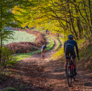 Gravel-Radfahrer auf einem Waldweg in einem französischen Wald im Morvan