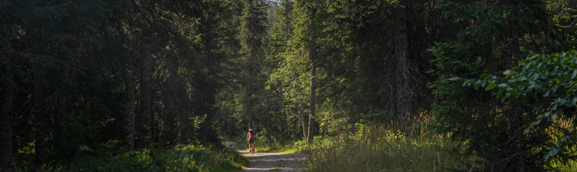 Gravel-Radfahrer auf einem Waldweg im Jura