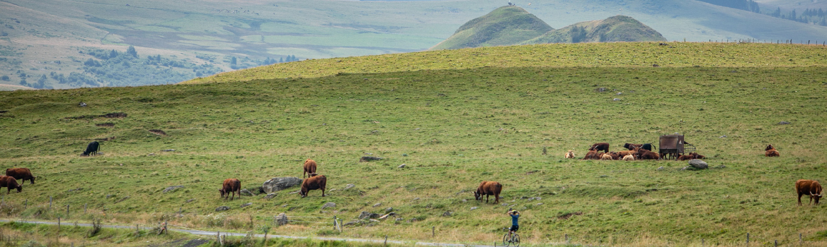 Gravelbike-Tour im Cantal