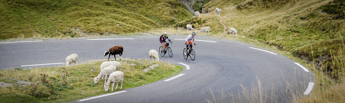 Rennradfahrer in der Auffahrt zum Col du Tourmalet