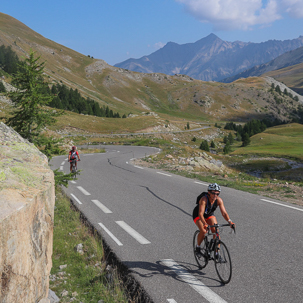 Rennradfahrer in der Auffahrt zur Cime de la Bonette